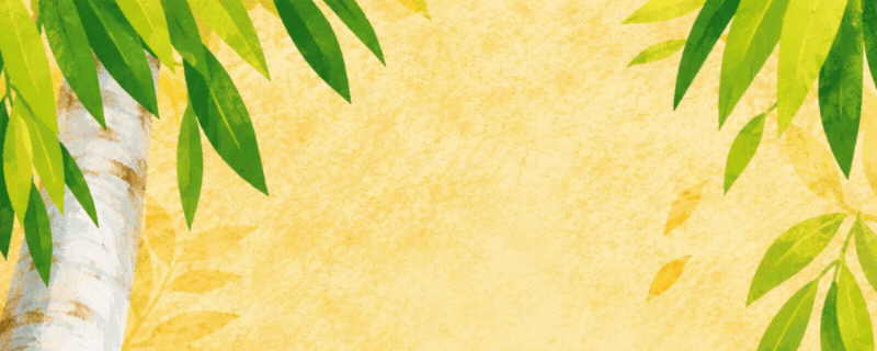 Banner Content Image: https://sweetandglory.com/images/banner/source/20th%20February%202026%20Animation%20%2850%29.vf3dav5SUe.gif?t=1782465955