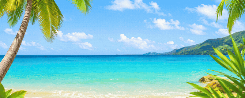 Banner Content Image: https://sweetandglory.com/images/banner/source/7.hOFaNRt59e.gif?t=1781860602