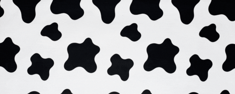 Banner Content Image: https://sweetandglory.com/images/banner/source/cbbc.FyJFTx5702.gif?t=1763716746