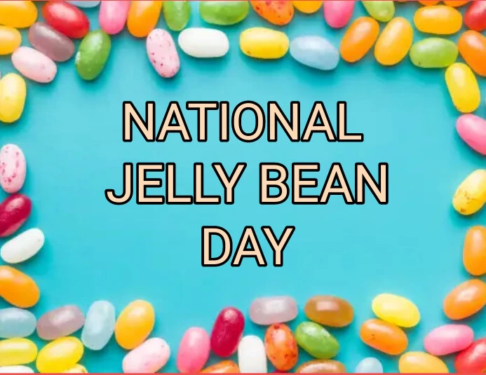 Jelly Belly jelly beans in assorted flavours available wholesale in the UK from Sweet and Glory