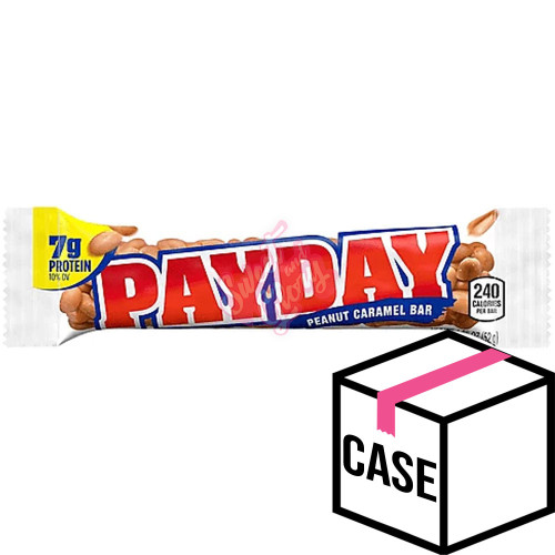 Payday 52g - Case